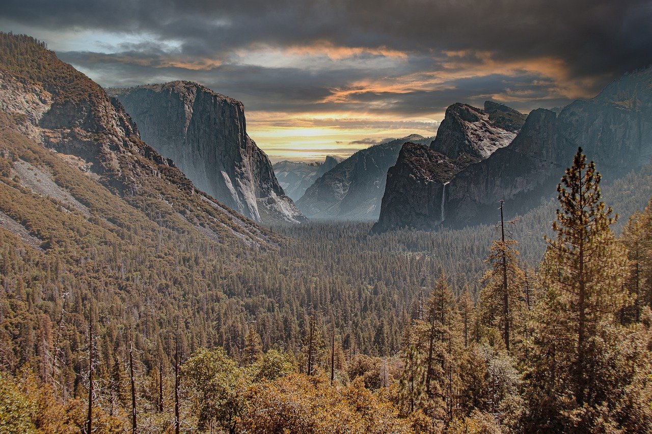 Immersive Nature Experience in Olympic National Park